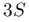 3S