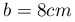 b=8cm