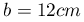 b=12cm